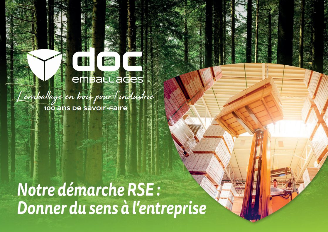 Brochure RSE